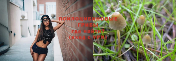 PSILOCYBIN Белоозёрский
