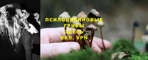 кокаин премиум Белокуриха