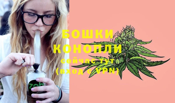 крисы Беломорск