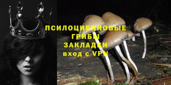 PSILOCYBIN Белоозёрский