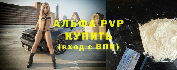 PSILOCYBIN Белоозёрский