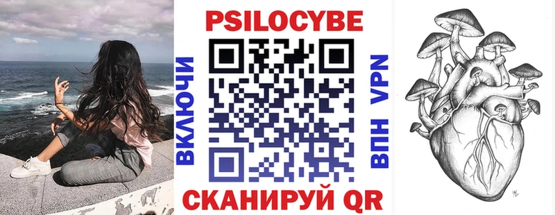 Псилоцибиновые грибы Psilocybe Славгород