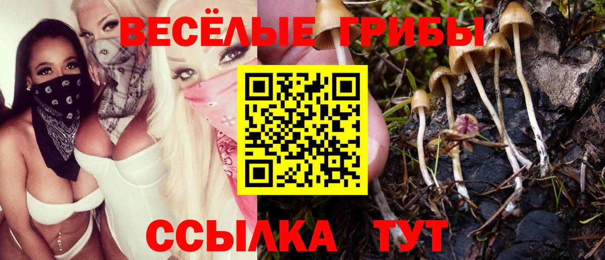 Галлюциногенные грибы ЛСД Славгород