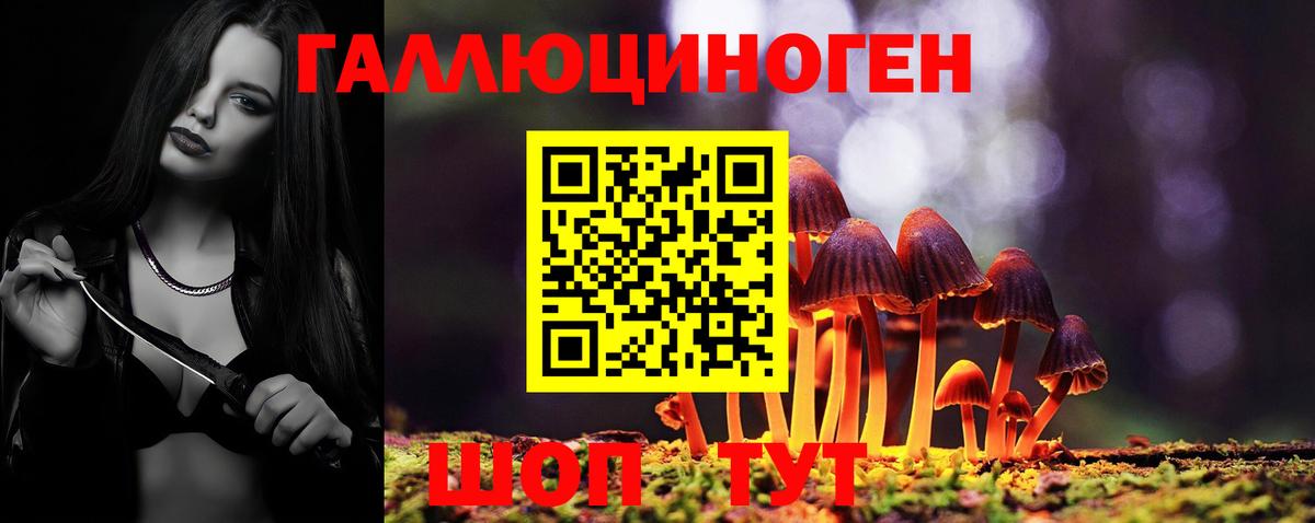 Славгород  магазин продажи   Галлюциногенные грибы GOLDEN TEACHER  Вход с VPN  Псилоцибиновые грибы GOLDEN TEACHER 