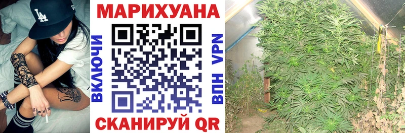 Канабис OG Kush  Славгород 